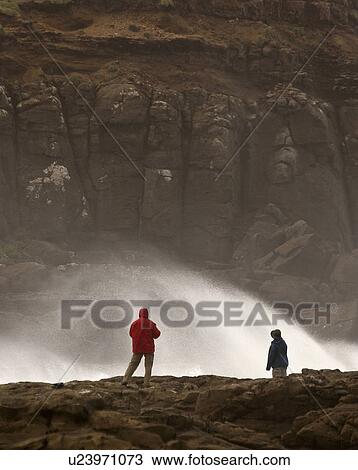 Stock Image - coast, crashing, zealands, new, scenic, surf. Fotosearch