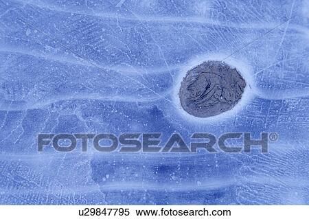 cold, around, blue, frozen, rock, pattern View Large Photo Image Stock Photography - cold, around, blue, frozen, rock, pattern. Fotosearch
