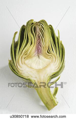 Stock Photo - composite, thistlelike, scolymus, cynara, plant, mediterranean. Fotosearch