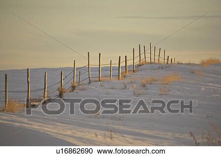 Stock Image - covered, lighting, snow, fence, barbedwire, low. Fotosearch