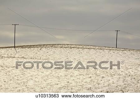 Stock Image - covered, poles, snow, through, going, telephone. Fotosearch