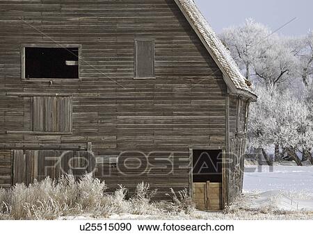 crystals, frost, ice, white, refers, hoar View Large Photo Image Stock Image - crystals, frost, ice, white, refers, hoar. Fotosearch