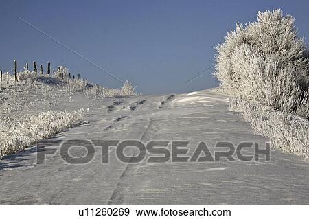 Stock Photo - crystals, frost, ice, white, refers, hoar. Fotosearch