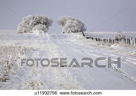 crystals, frost, ice, white, refers, hoar View Large Photo Image Stock Photograph - crystals, frost, ice, white, refers, hoar. Fotosearch