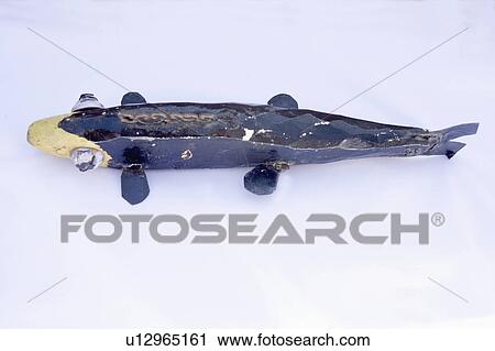 Stock Image - decoy, carved, fishing, ice, antique, hand. Fotosearch