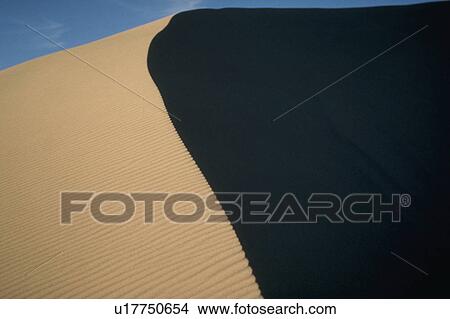 Picture - delicate, dune, granular, desert, nevada, sand. Fotosearch