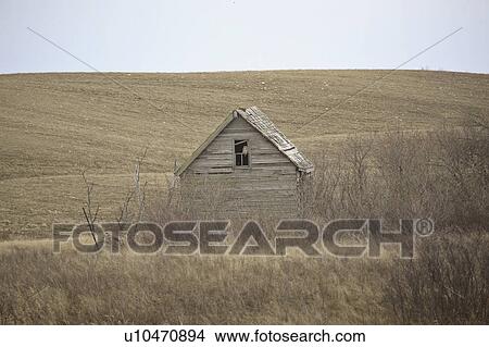 Picture - dilapidated, horned, old, window, owl, great. Fotosearch