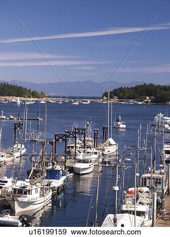 Stock Photo - dock, columbia, british, nanaimo, sailboats. Fotosearch