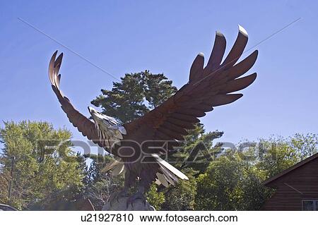 eagle, usa, wisconsin, cable, statue View Large Photo Image Stock Image - eagle, usa, wisconsin, cable, statue. Fotosearch