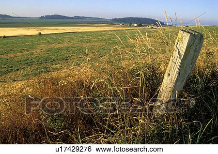 Stock Photograph - ebeys, wire, prairie, post, fence, barbed. Fotosearch