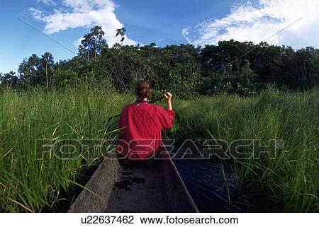ecuador, canoe, river, amazon, headwaters, dugout View Large Photo Image Stock Image - ecuador, canoe, river, amazon, headwaters, dugout. Fotosearch