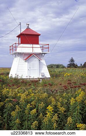 edward, coastline, maritime, lighthouse, pei, lady View Large Photo Image Stock Image - edward, coastline, maritime, lighthouse, pei, lady. Fotosearch
