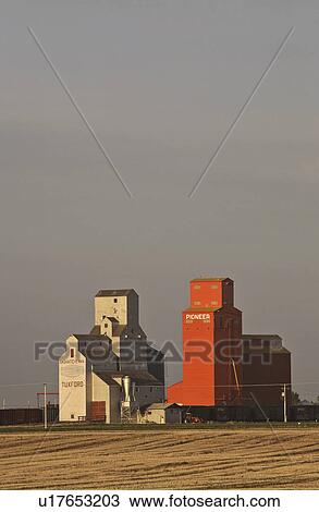 elevators, sun, grain, tuxford, lighting, setting View Large Photo Image Stock Image - elevators, sun, grain, tuxford, lighting, setting. Fotosearch