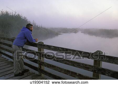 Stock Image - estuary, released, river, washington, sunrise, model. Fotosearch