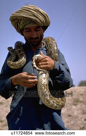 expertise, snake, professional, displays, charmer, turbaned View Large Photo Image Picture - expertise, snake, professional, displays, charmer, turbaned. Fotosearch