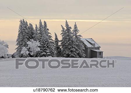 farm, frostcovered, deserted, abandoned, trees, hoar View Large Photo Image Stock Image - farm, frostcovered, deserted, abandoned, trees, hoar. Fotosearch