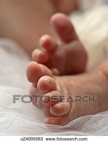 feet, jaw, moose, photographed, babys View Large Photo Image Stock Image - feet, jaw, moose, photographed, babys. Fotosearch