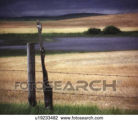 Stock Image - fence, farm, wheat, storm, prairie. Fotosearch