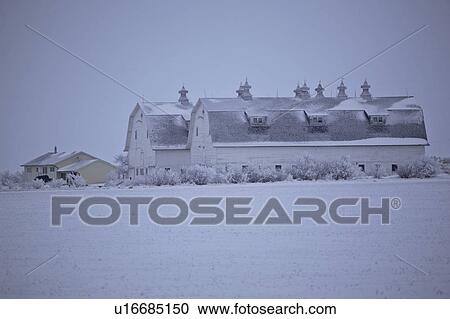 field, frost, stubble, trees, barn, hoar View Large Photo Image Stock Image - field, frost, stubble, trees, barn, hoar. Fotosearch