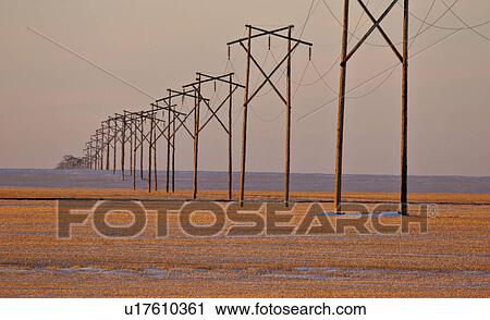 Stock Image - field, hydro, stubble, through, poles, row. Fotosearch