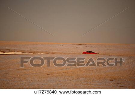 field, lighting, stubble, covered, snow, low View Large Photo Image Stock Image - field, lighting, stubble, covered, snow, low. Fotosearch