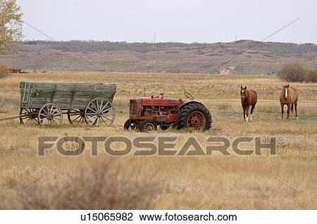 field, old, tractor, wagon, farm, horses View Large Photo Image Stock Image - field, old, tractor, wagon, farm, horses. Fotosearch