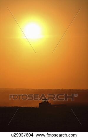 fields, setting, working, farming, behind, sun View Large Photo Image Picture - fields, setting, working, farming, behind, sun. Fotosearch