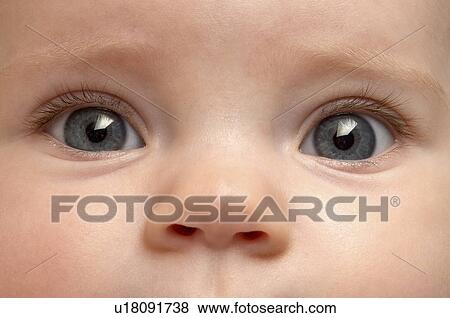 five, released, nose, eyes, closeup, model View Large Photo Image Stock Photo - five, released, nose, eyes, closeup, model. Fotosearch