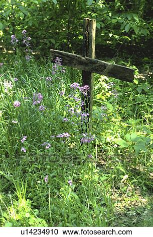 Stock Image - flowers, wooden, wild, nestled, cross, rugged. Fotosearch