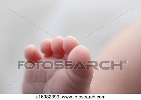 foot, studio, macmaster, photographed, baby View Large Photo Image Stock Photo - foot, studio, macmaster, photographed, baby. Fotosearch