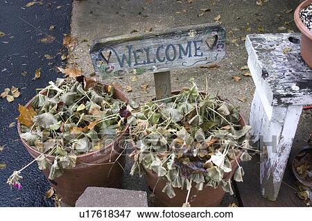 Stock Photo - frost, welcome, pot, stuck, sign, inviting. Fotosearch