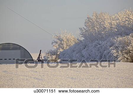 garage, frost, steel, trees, covered, hoar View Large Photo Image Stock Image - garage, frost, steel, trees, covered, hoar. Fotosearch