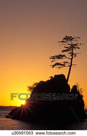 Stock Image - garibaldi, beach, pacific, tillamook, rock, vacation. Fotosearch