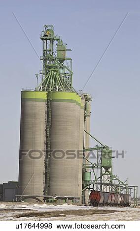 Stock Photo - grain, cars, modern, next, siding, railway. Fotosearch