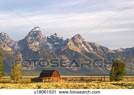 grand, barn, below, brush, sage, old View Large Photo Image Stock Image - grand, barn, below, brush, sage, old. Fotosearch