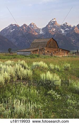 grand, barn, below, brush, sage, old View Large Photo Image Stock Image - grand, barn, below, brush, sage, old. Fotosearch