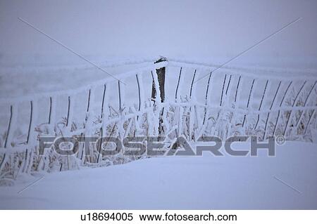 Stock Photography - grass, frost, tall, fence, wire, hoar. Fotosearch