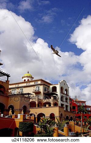 Stock Photograph - gull, hotel, flying, sea. Fotosearch