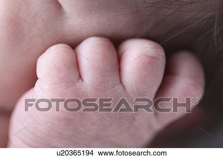 hand, studio, macmaster, photographed, baby View Large Photo Image Picture - hand, studio, macmaster, photographed, baby. Fotosearch