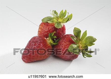 Stock Image - having, lowgrowing, fragaria, genus, plants, various. Fotosearch