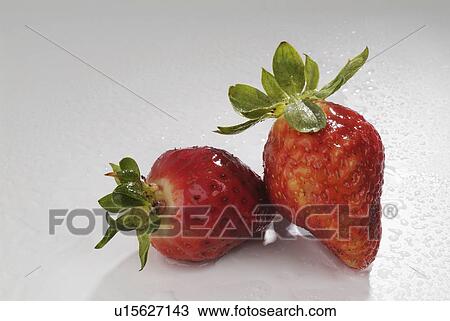 Stock Image - having, lowgrowing, fragaria, genus, plants, various. Fotosearch