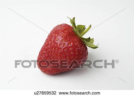 having, lowgrowing, fragaria, genus, plants, various View Large Photo Image Stock Image - having, lowgrowing, fragaria, genus, plants, various. Fotosearch