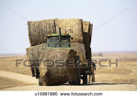 Stock Image - hay, spring, early, bales, tractor. Fotosearch