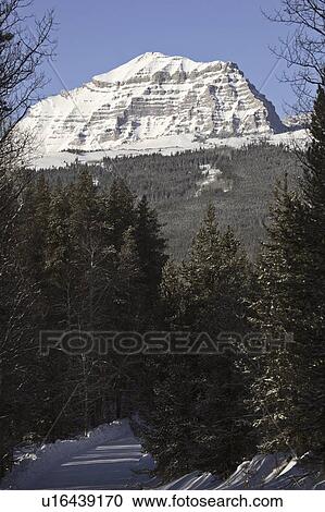 highway, covered, road, winter, mountains, snow View Large Photo Image Stock Image - highway, covered, road, winter, mountains, snow. Fotosearch