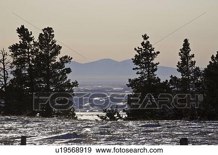 Stock Photo - hills, snow, distant, trees, pine, glaring. Fotosearch