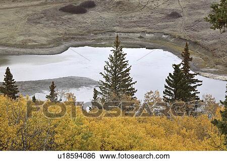 Stock Photograph - hills, view, cypress, cliffs, conglomerate, picturesque. Fotosearch