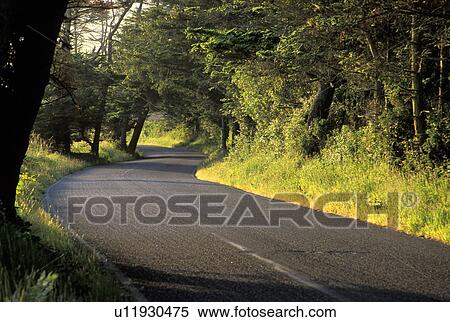 Stock Photography - historic, road, national, landing, ebeys, hill. Fotosearch