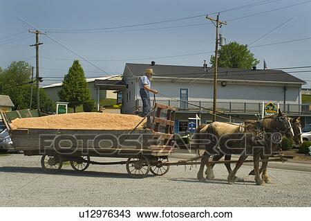 Stock Image - horse, load, transport, cargo, oats, wagon. Fotosearch
