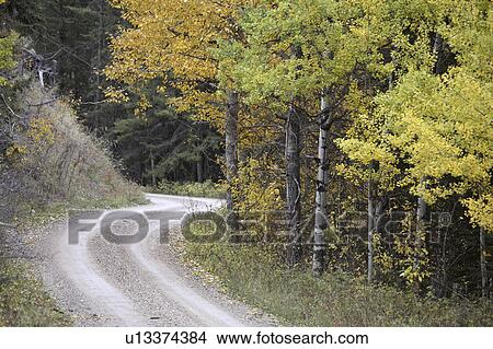 Picture - interprovincial, road, hills, cypress, through, twisting. Fotosearch