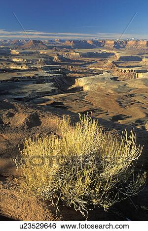 Stock Photograph - island, canyonlands, travel, river, utah, orange. Fotosearch